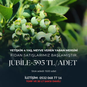 https://hakiyesil.com.tr/wp-content/uploads/2024/08/WhatsApp-Image-2025-07-19-at-13.10.21-1-300x300.jpeg