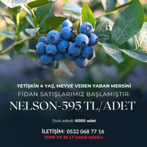 https://hakiyesil.com.tr/wp-content/uploads/2024/08/WhatsApp-Image-2025-07-19-at-13.10.21-300x300.jpeg