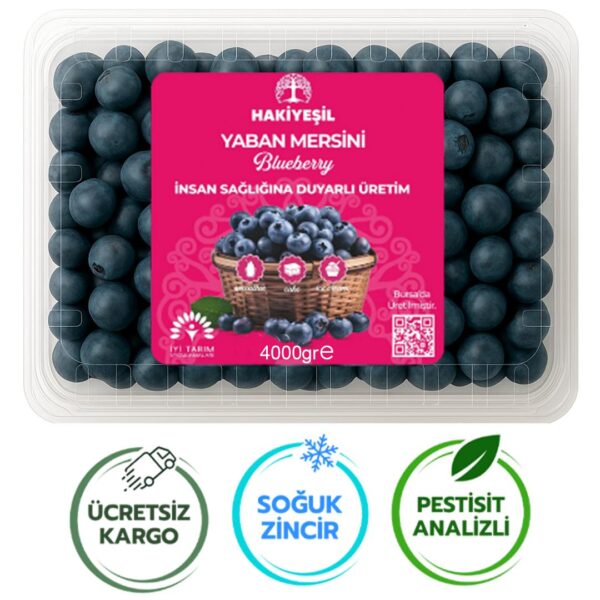 Yaban Mersini 4000 GR